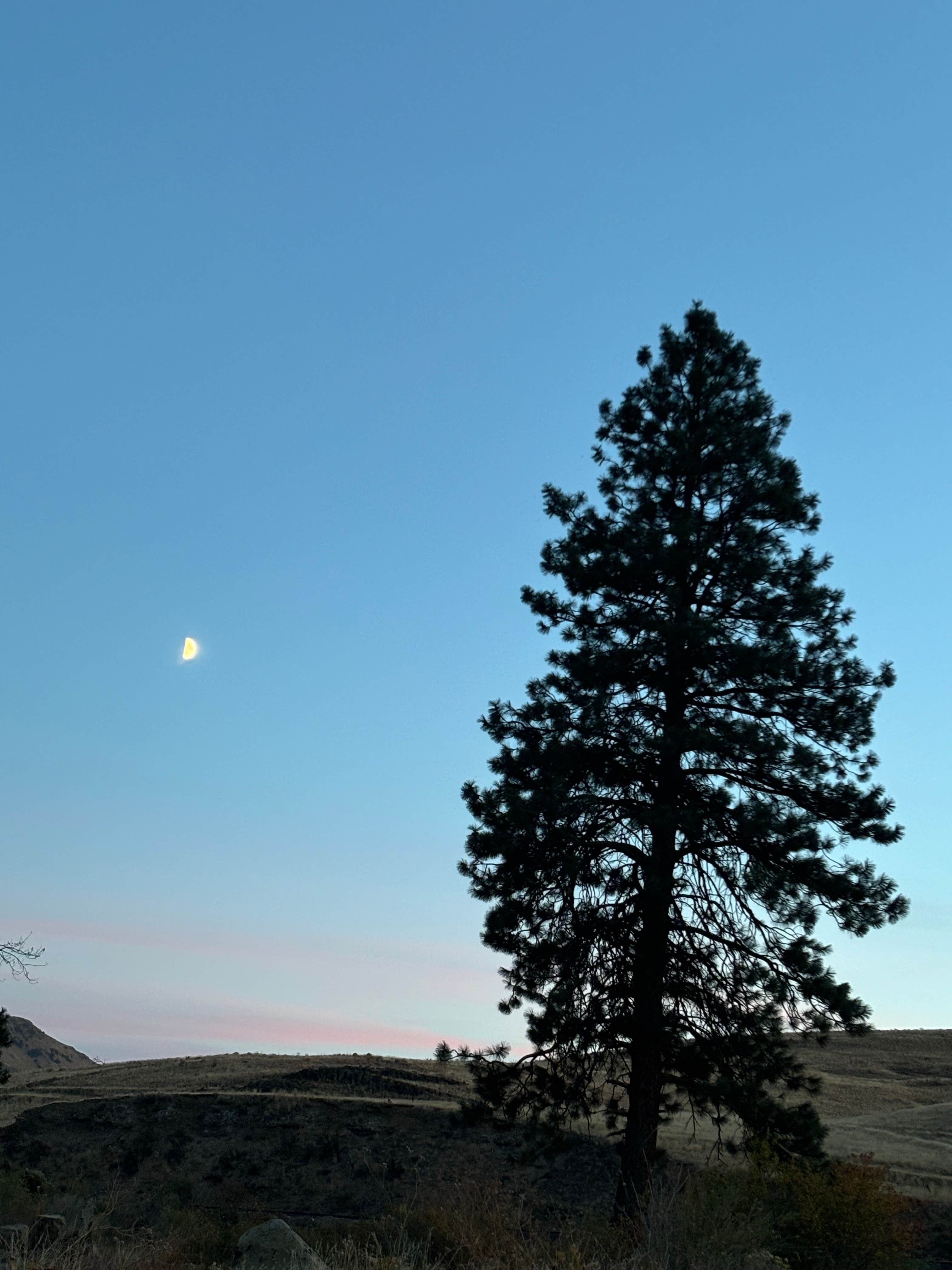 Camping near Stagecoach RV Park: Yakima River Canyon Campgrounds (Umtanum, Lmuma Creek, Big Pines, Roza) — Yakima River Canyon, Selah, Washington