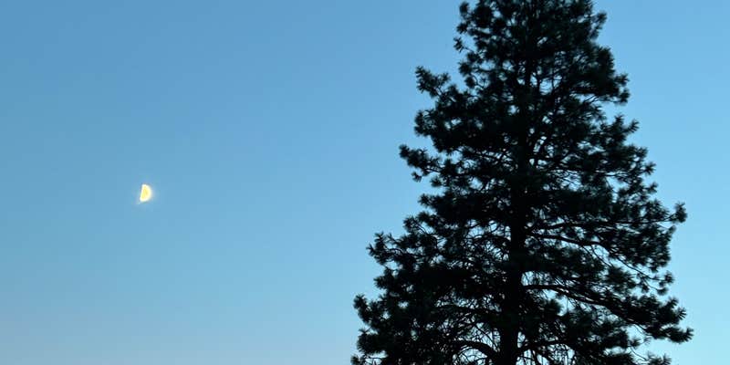 Camper submitted image from Yakima River Canyon Campgrounds (Umtanum, Lmuma Creek, Big Pines, Roza) — Yakima River Canyon