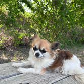 Review photo of Yanawana Camp by Susan R., April 1, 2026
