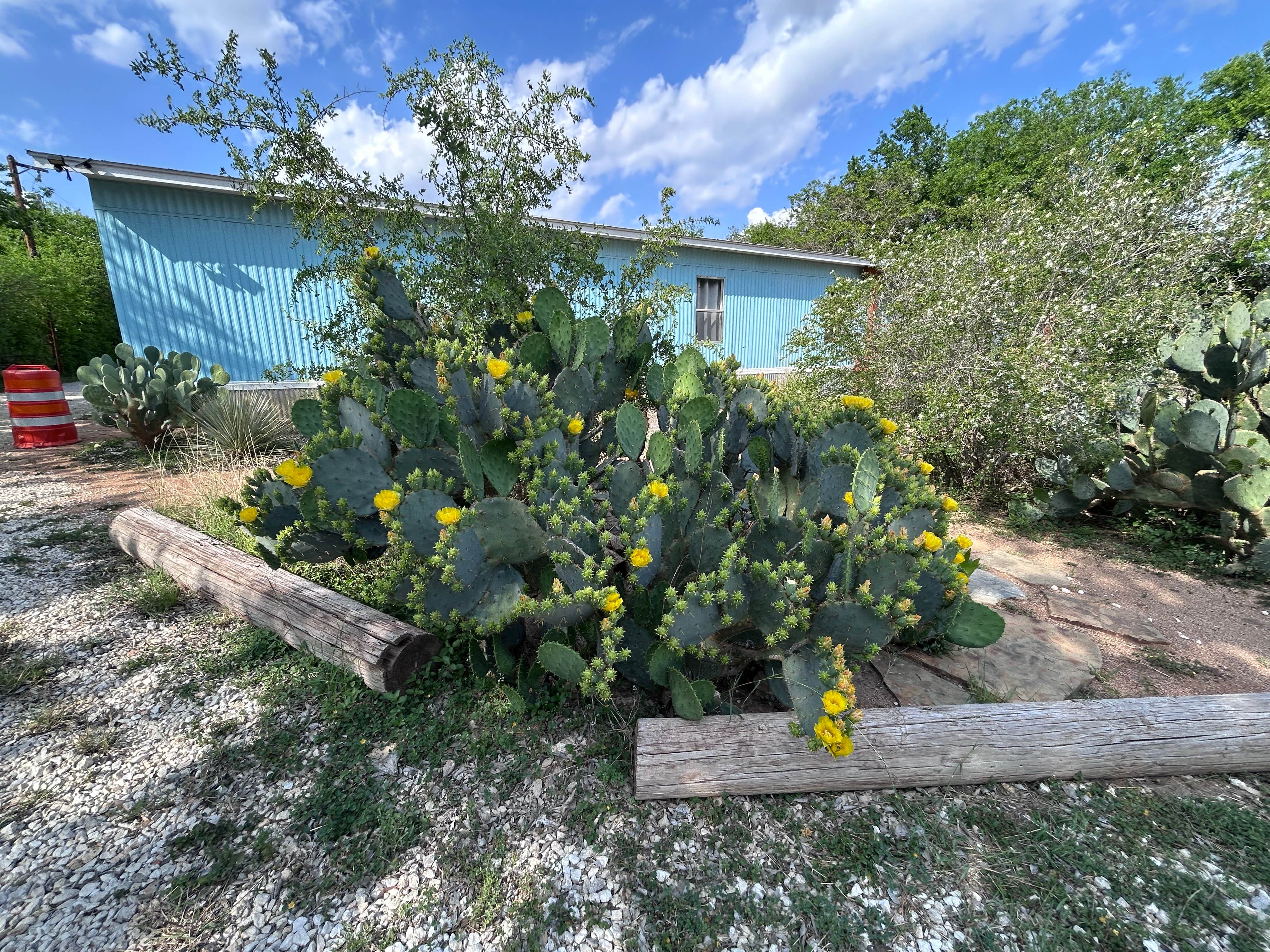 Camper-submitted photo at Yanawana Camp near Elmendorf, TX