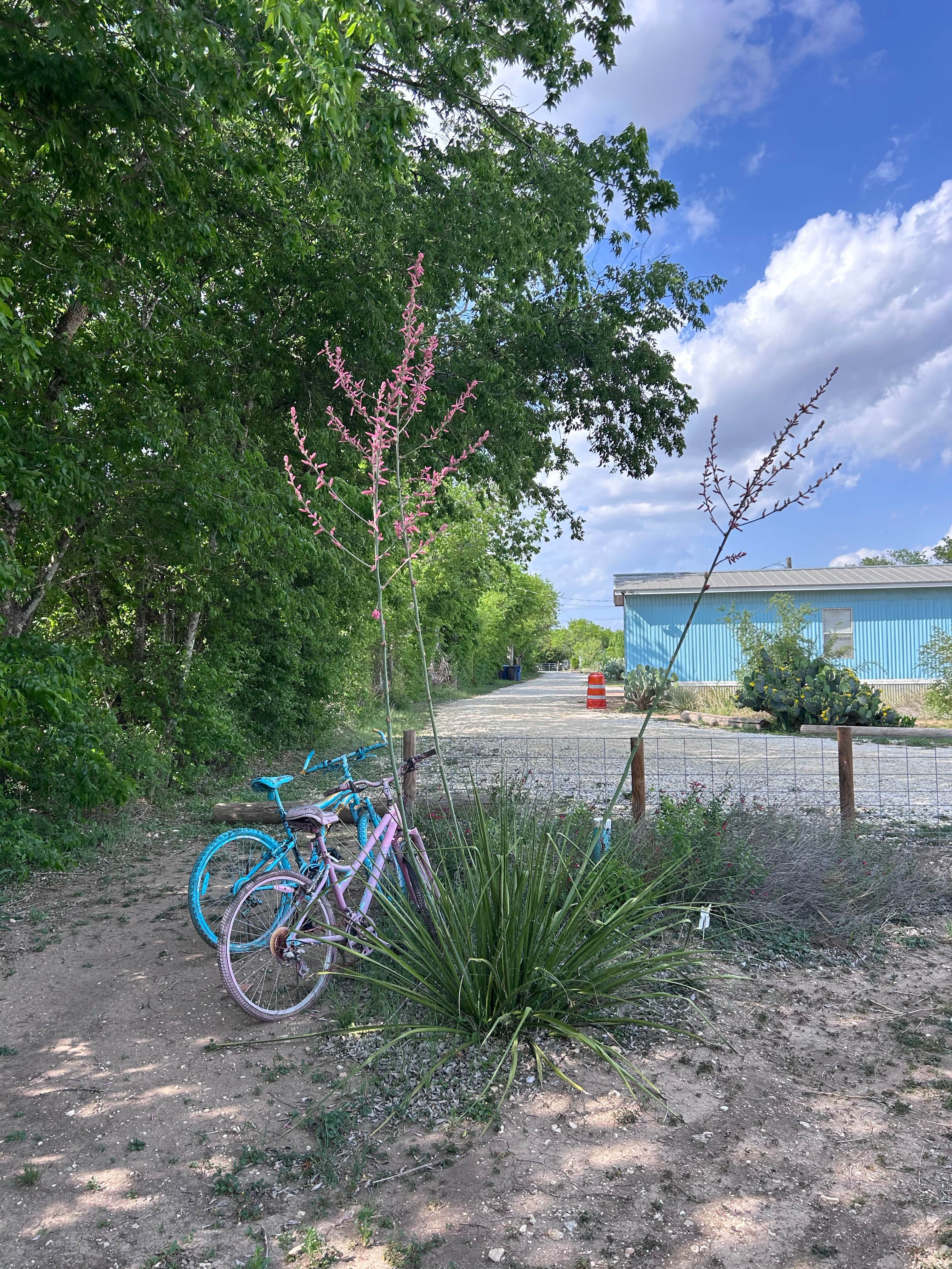 Camping near Rustic Oaks Mobile Home & RV Park: Yanawana Camp, Elmendorf, Texas