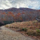 Review photo of Toe River Campground by Wayne T., October 2, 2024