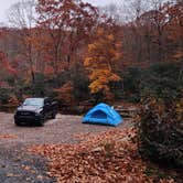 Review photo of Toe River Campground by Wayne T., October 2, 2024