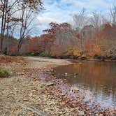 Review photo of Toe River Campground by Wayne T., October 2, 2024