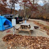 Review photo of Toe River Campground by Wayne T., October 2, 2024