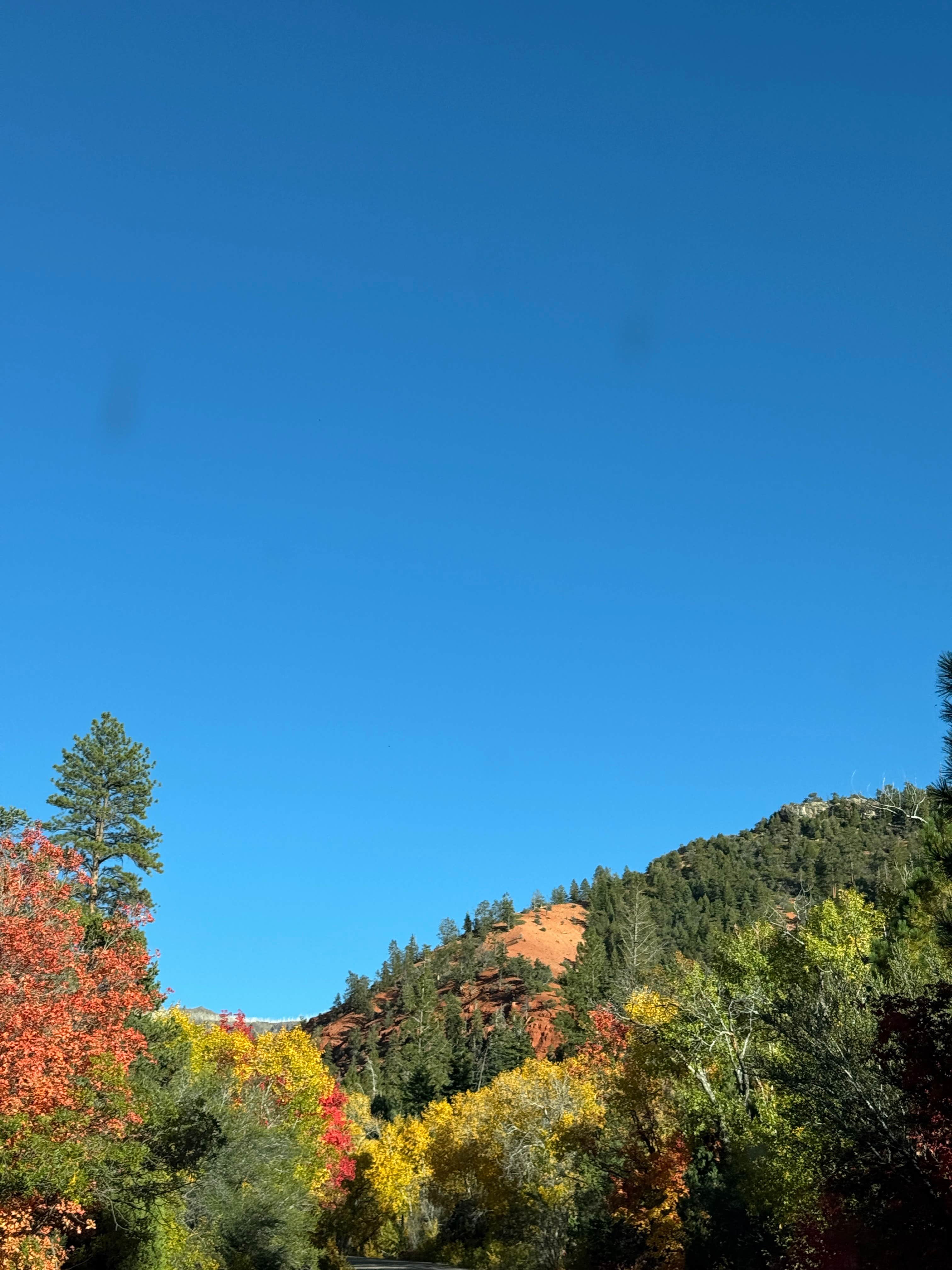 Bradford H.'s photo of a dispersed camping area at Yankee Designated Dispersed Camping Area near Beaver, UT