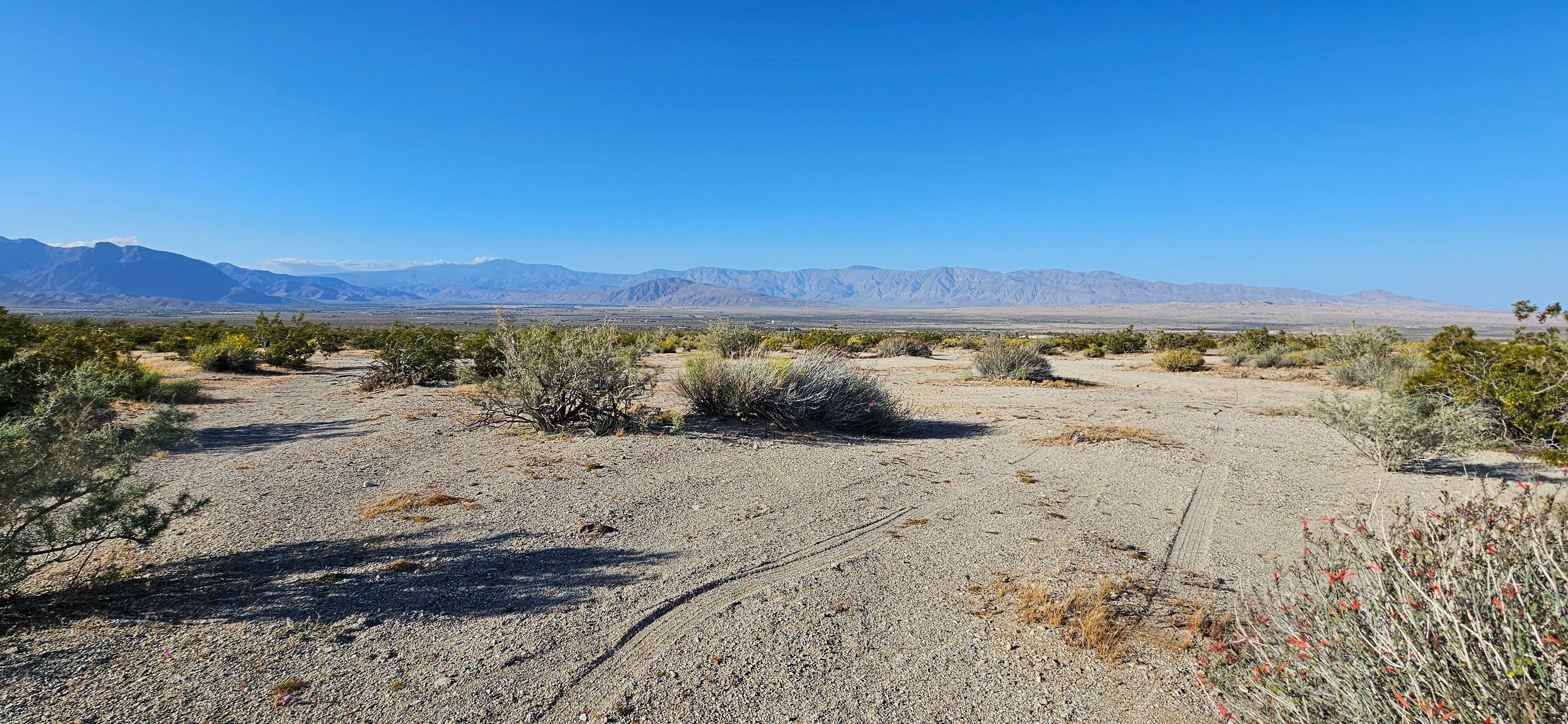 Camper-submitted photo at Yaqui Well Primitive Campground — Anza-Borrego Desert State Park near La Quinta, CA