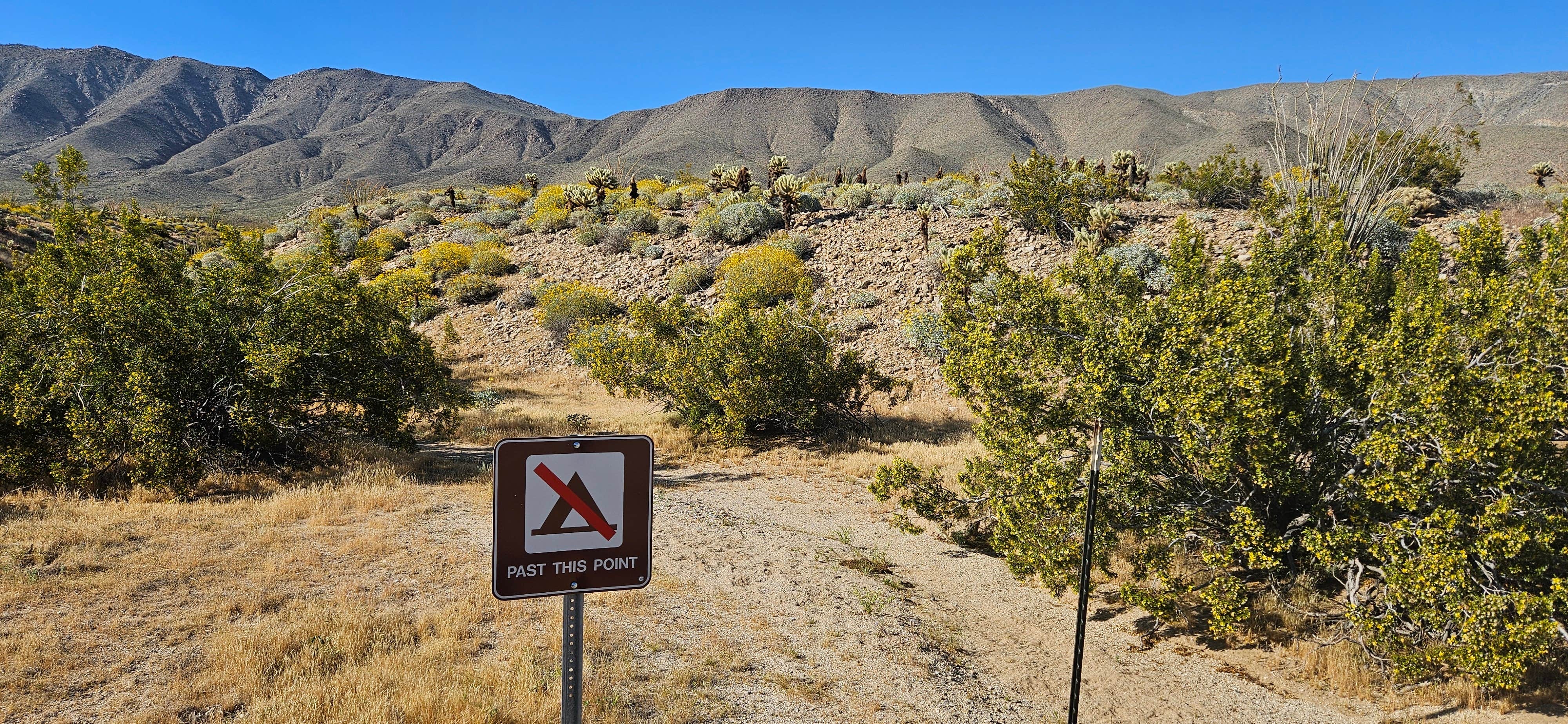 Camper-submitted photo at Yaqui Wash near Julian, CA