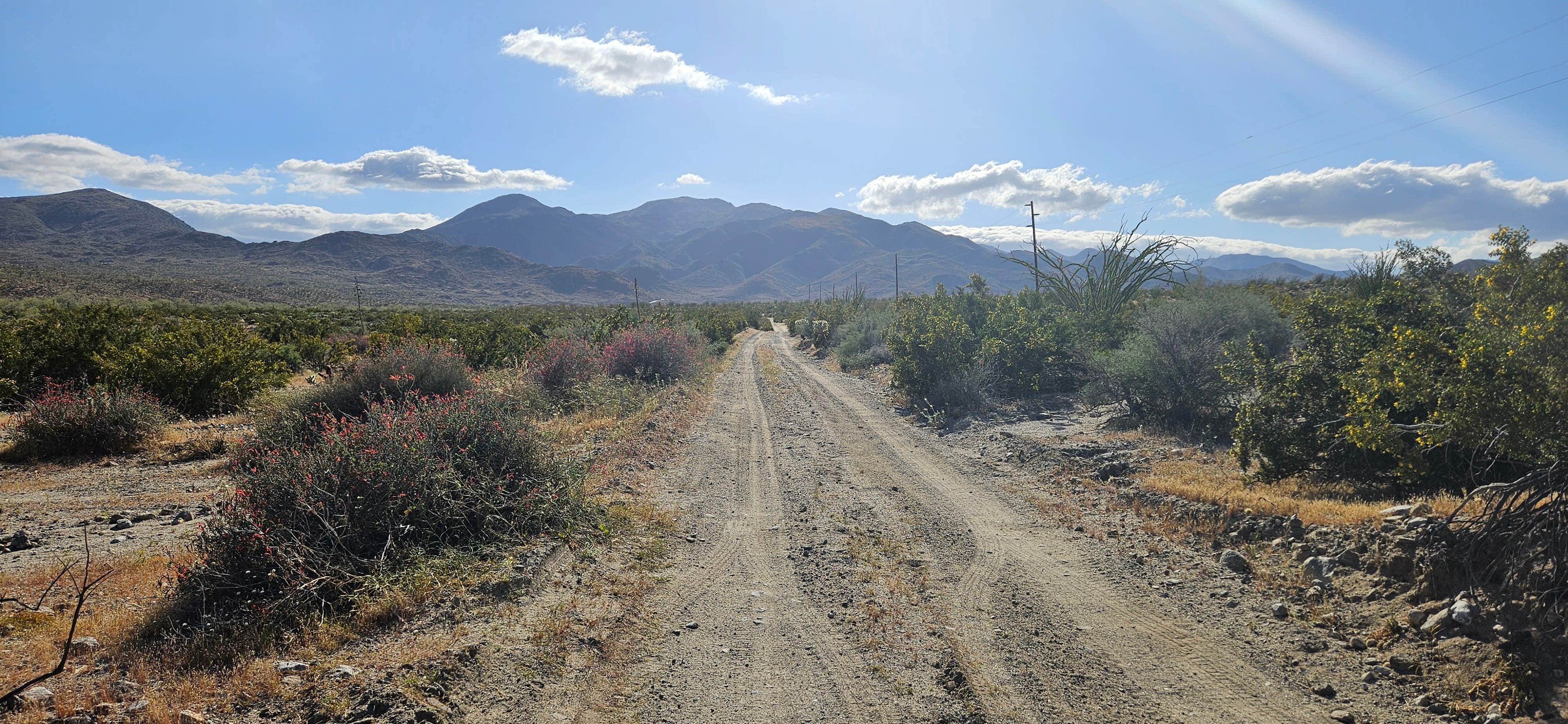 Abe C.'s photo of a dispersed camping area at Yaqui Wash near Julian, CA