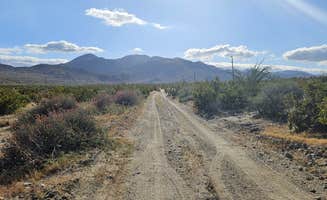 Abe C.'s photo of a dispersed camping area at Yaqui Wash near Santee, CA