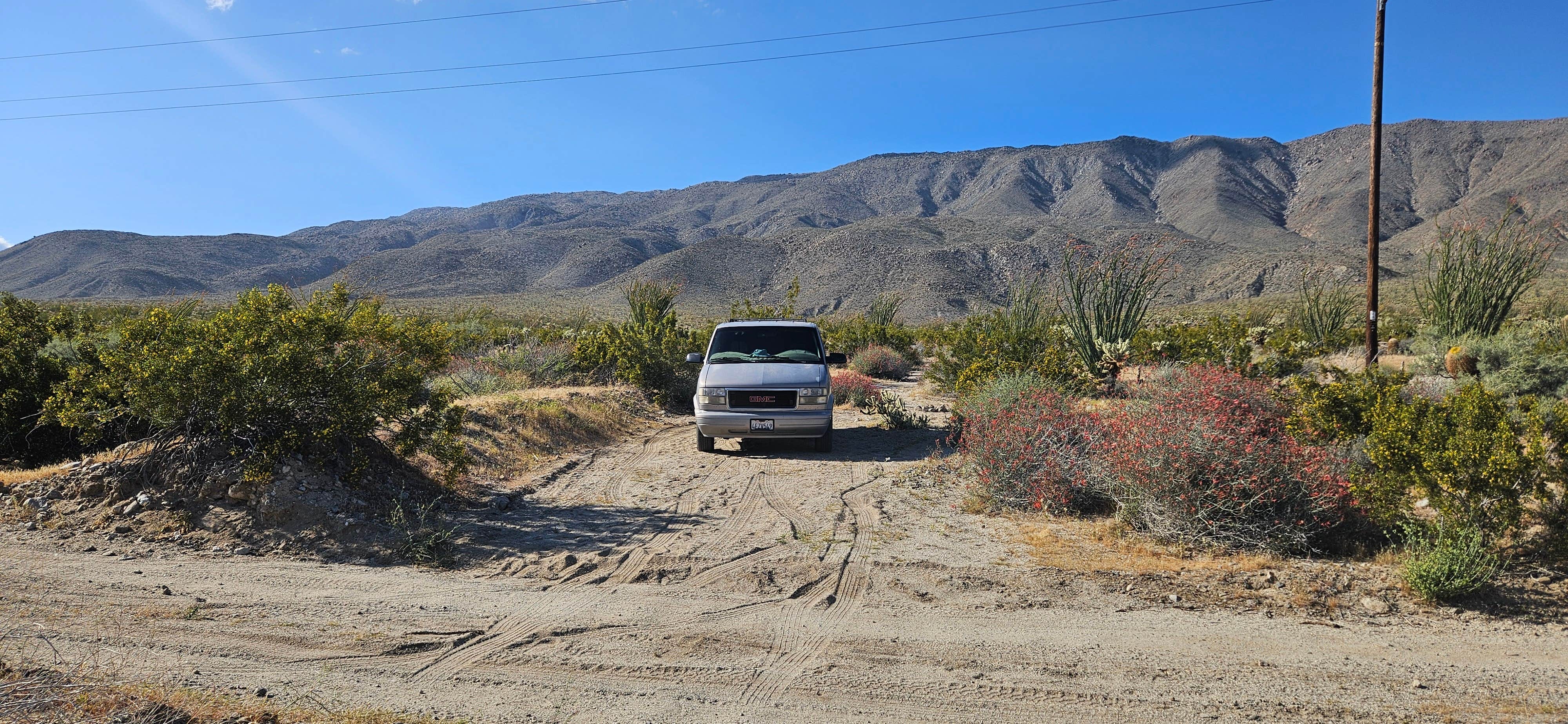 Camper-submitted photo at Yaqui Wash near Julian, CA