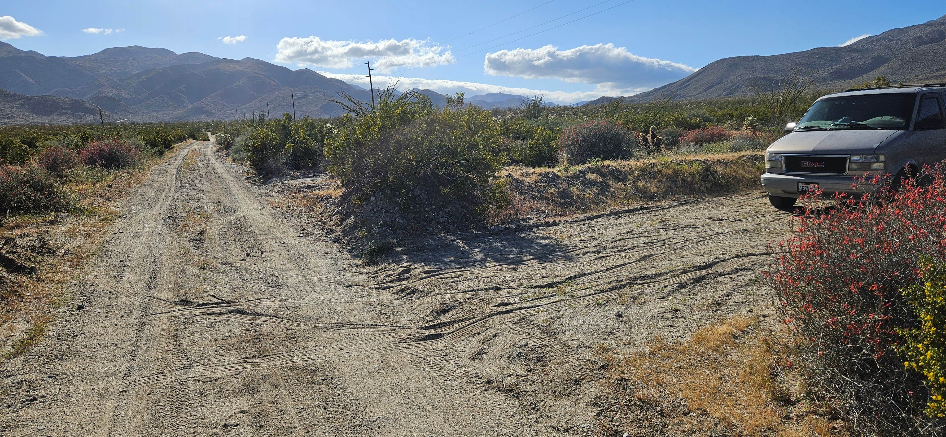 Camper-submitted photo at Yaqui Wash near Julian, CA