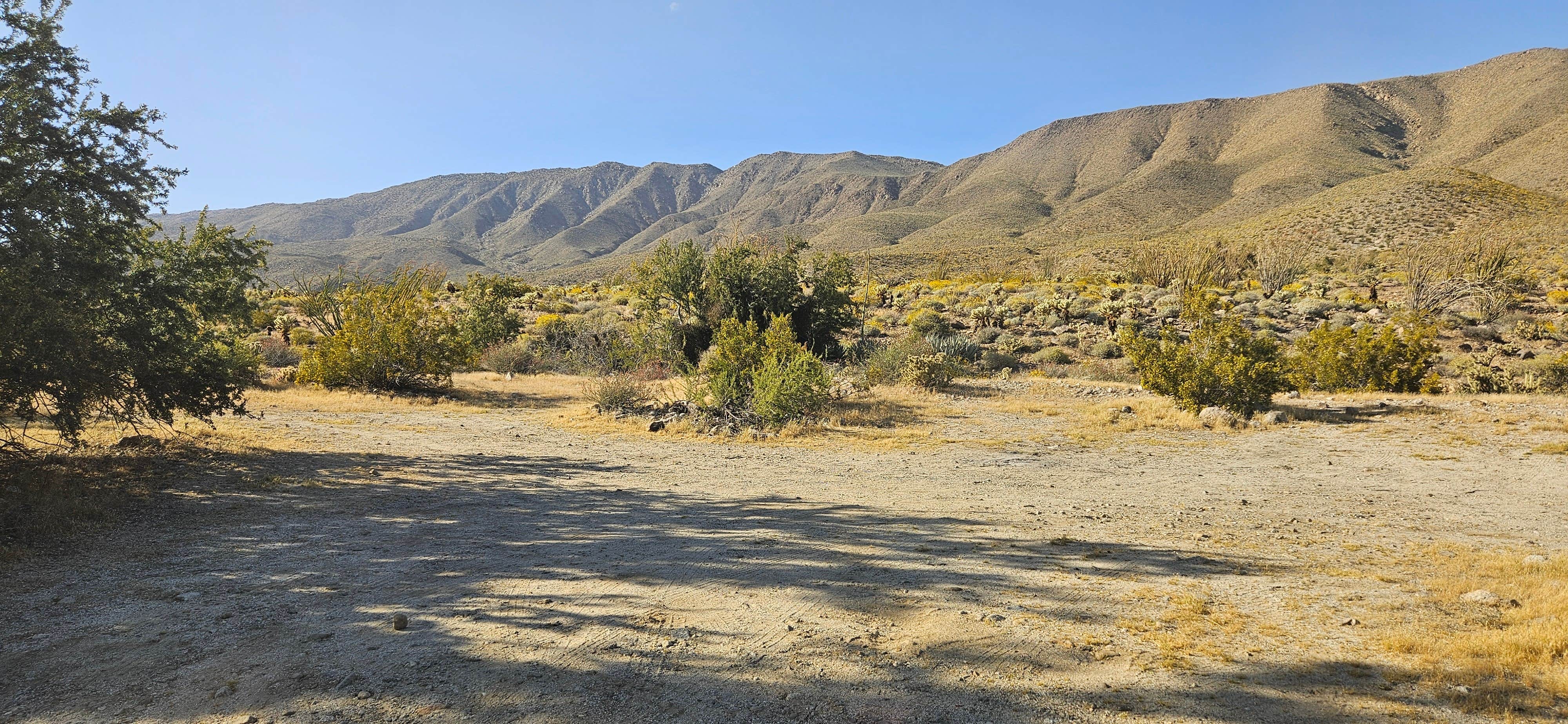Camper submitted image from Yaqui Wash - 1