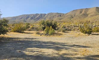 Camping near Culp Valley Primitive Campground — Anza-Borrego Desert State Park: Yaqui Wash, Borrego Springs, California