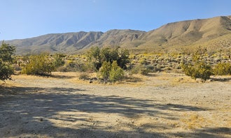 Camping near Peg Leg Dispersed: Yaqui Wash, Borrego Springs, California