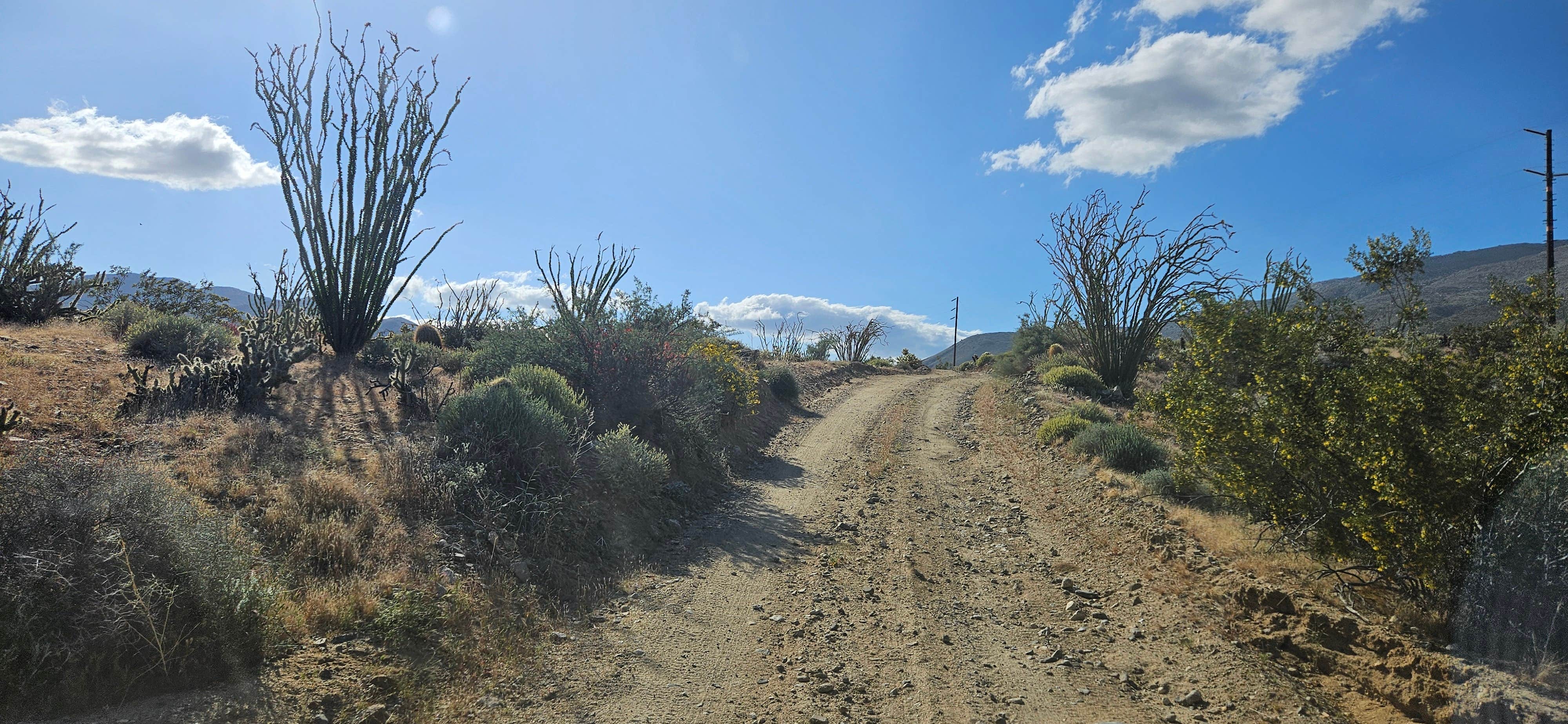 Camper-submitted photo at Yaqui Wash near Julian, CA