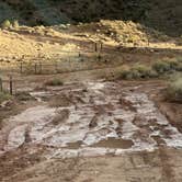 Review photo of Yellow Circle Crossing by Jan V., October 22, 2026