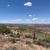 Review photo of Yellow Circle Road Dispersed Camping Area by Salvy F., May 27, 2025