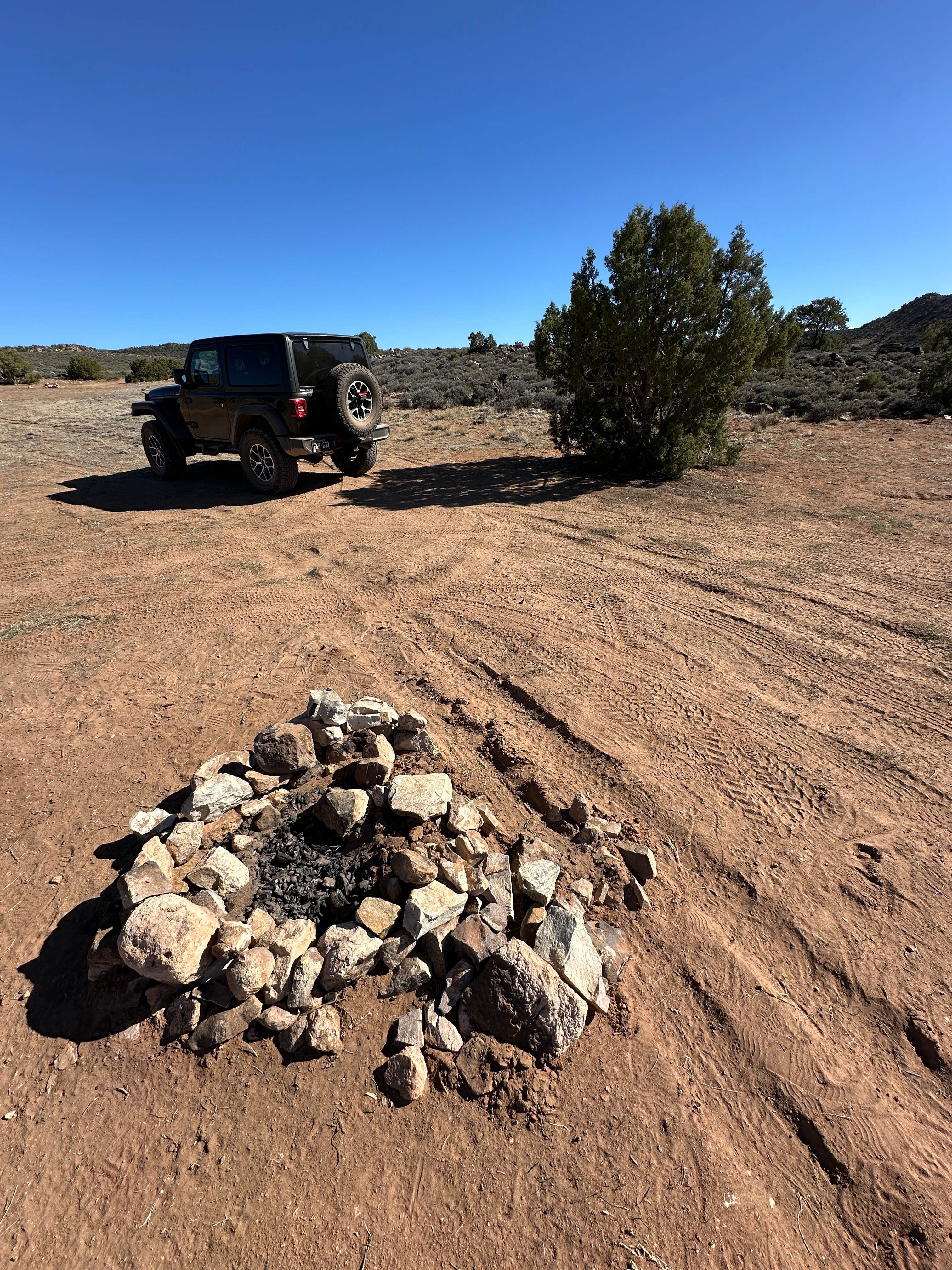 Camper-submitted photo at Yellow Circle Road Mountain Top Camp near La Sal, UT