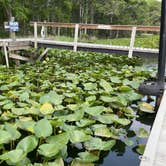 Review photo of Yellow Jacket RV Resort by Phillip H., May 8, 2026
