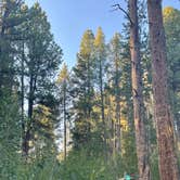 Review photo of Yellow Pine Campground (Ut) — Uinta Wasatch Cache National Forest by Kenzie M., September 1, 2024