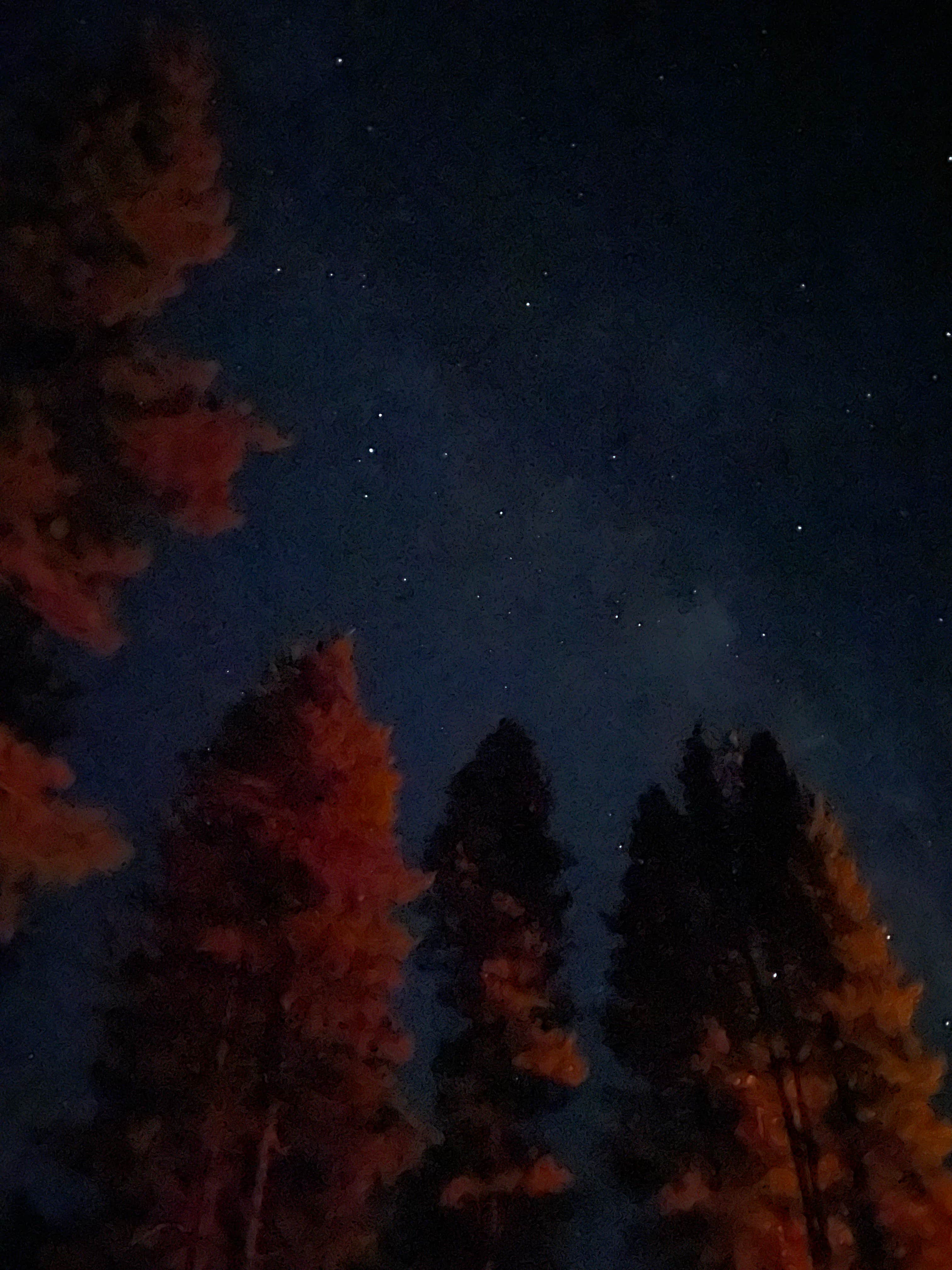 Camper-submitted photo at Yellow Pine Campground (Ut) — Uinta Wasatch Cache National Forest near Kamas, UT