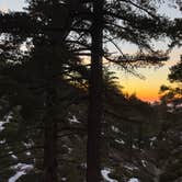 Review photo of Yellow Post Number 9 by Rav H., December 18, 2025