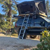 Review photo of Yellow Post Number 9 by Rav H., December 18, 2025