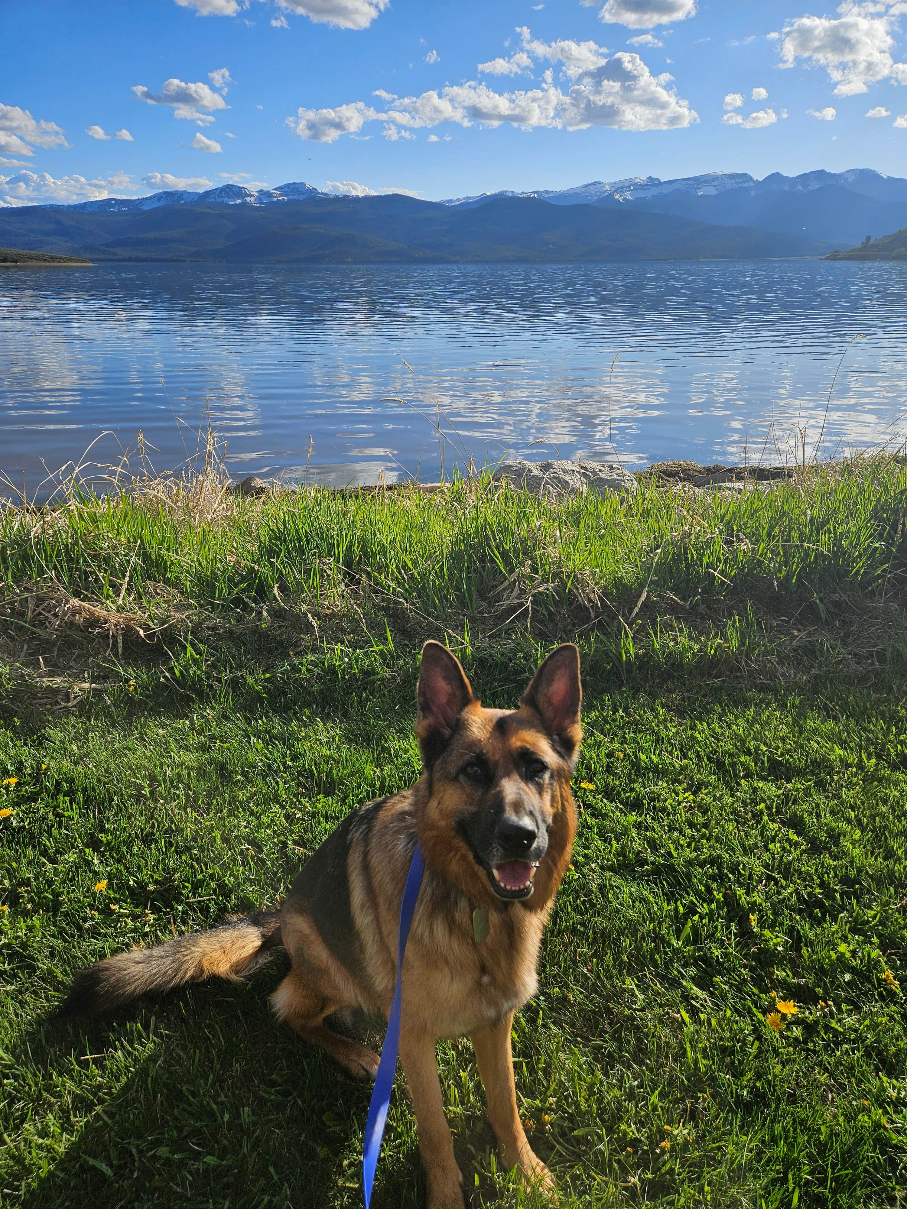 Tim B.'s photo of camping with pets at Yellowstone Holiday Resort near Yellowstone National Park