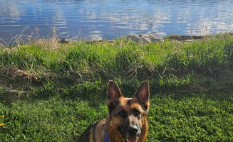 Tim B.'s photo of camping with pets at Yellowstone Holiday Resort near Cameron, MT