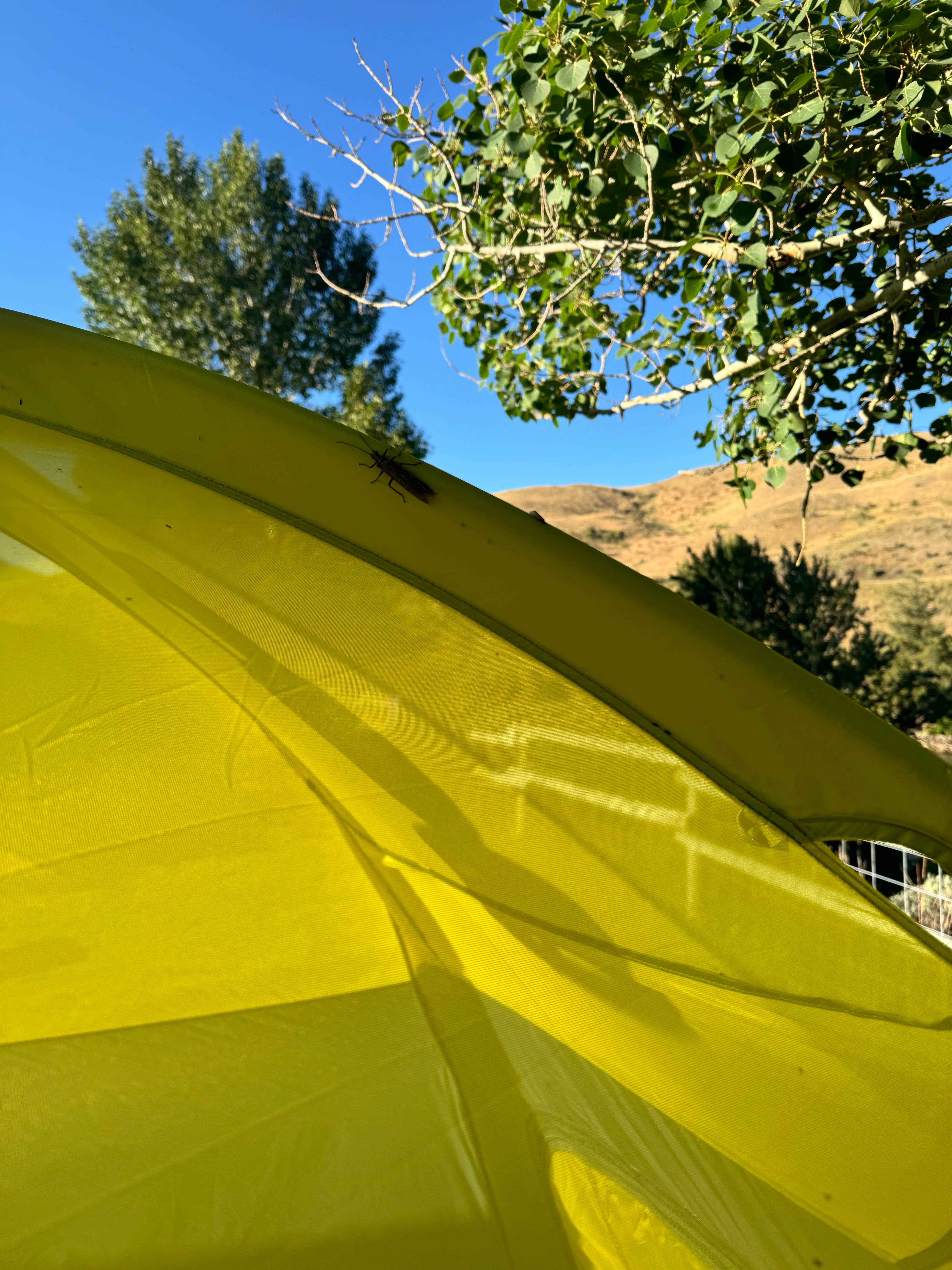 Camper-submitted photo at Yellowstone RV Park near Silver Gate, MT