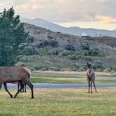 Review photo of Yellowstone RV Park by Tyler S., January 8, 2025