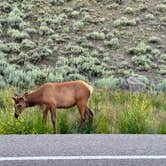 Review photo of Yellowstone RV Park by Tyler S., January 8, 2025