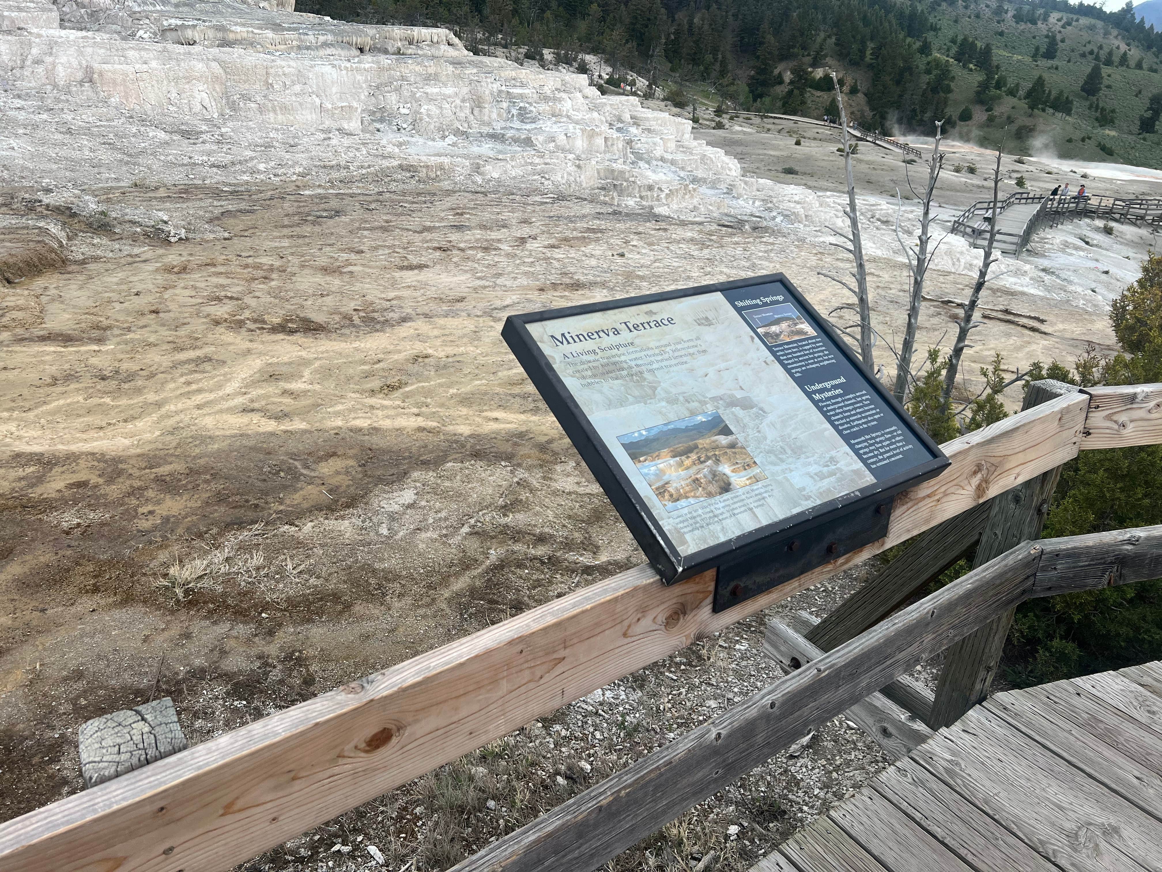 Camper submitted image from yellowstone - 4