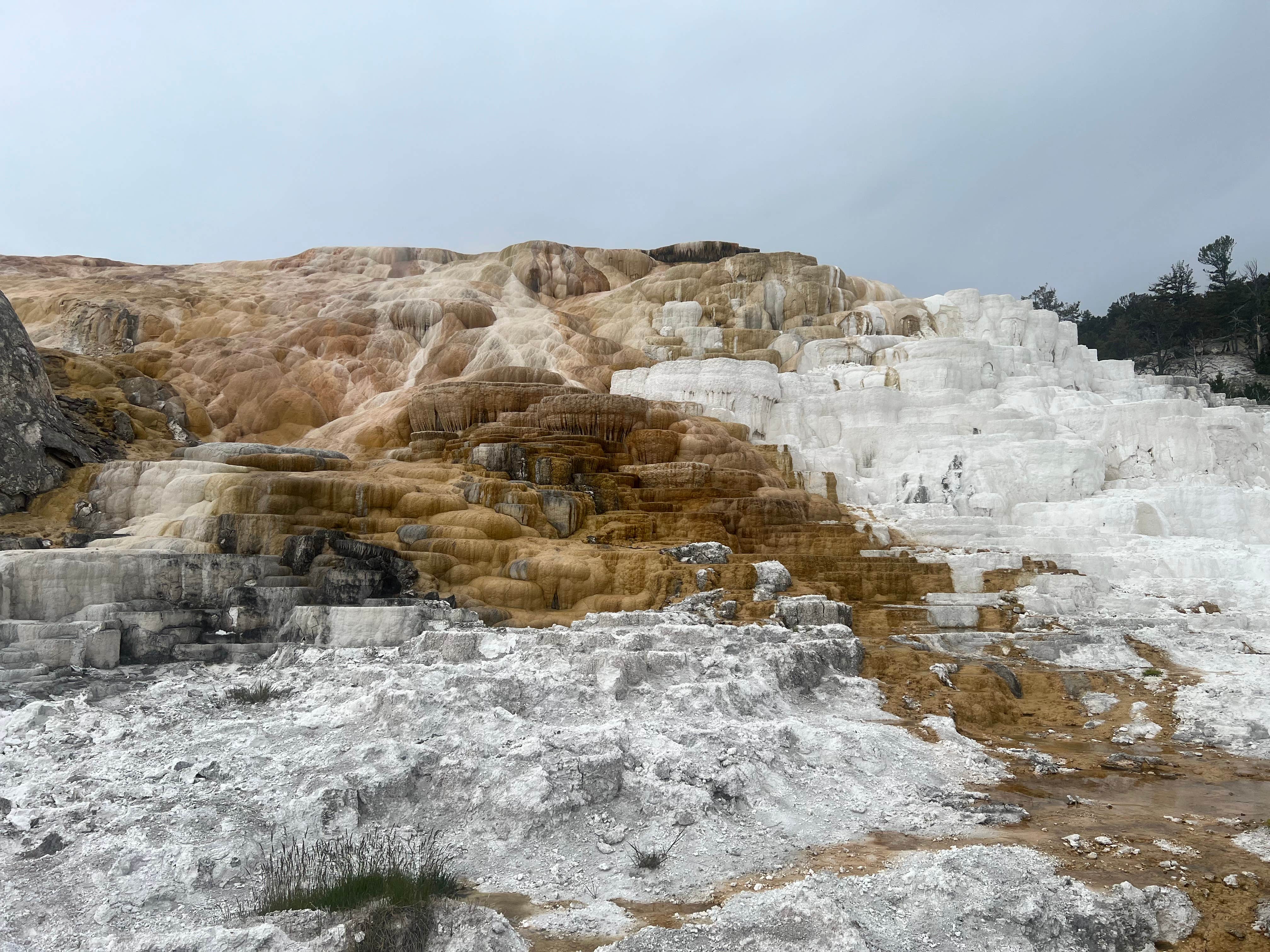 Camper-submitted photo at yellowstone near Cody, WY