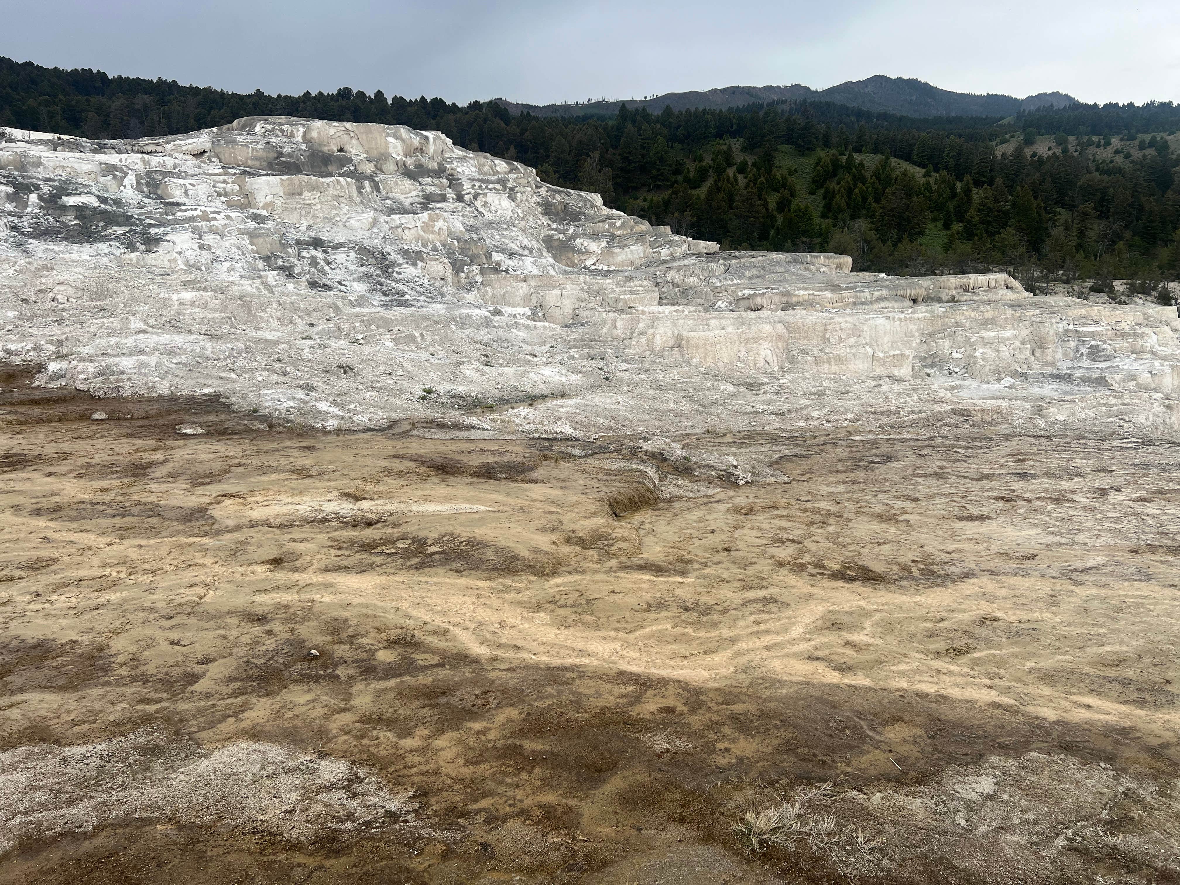 Camping near Meeteetse: yellowstone, Meeteetse, Wyoming