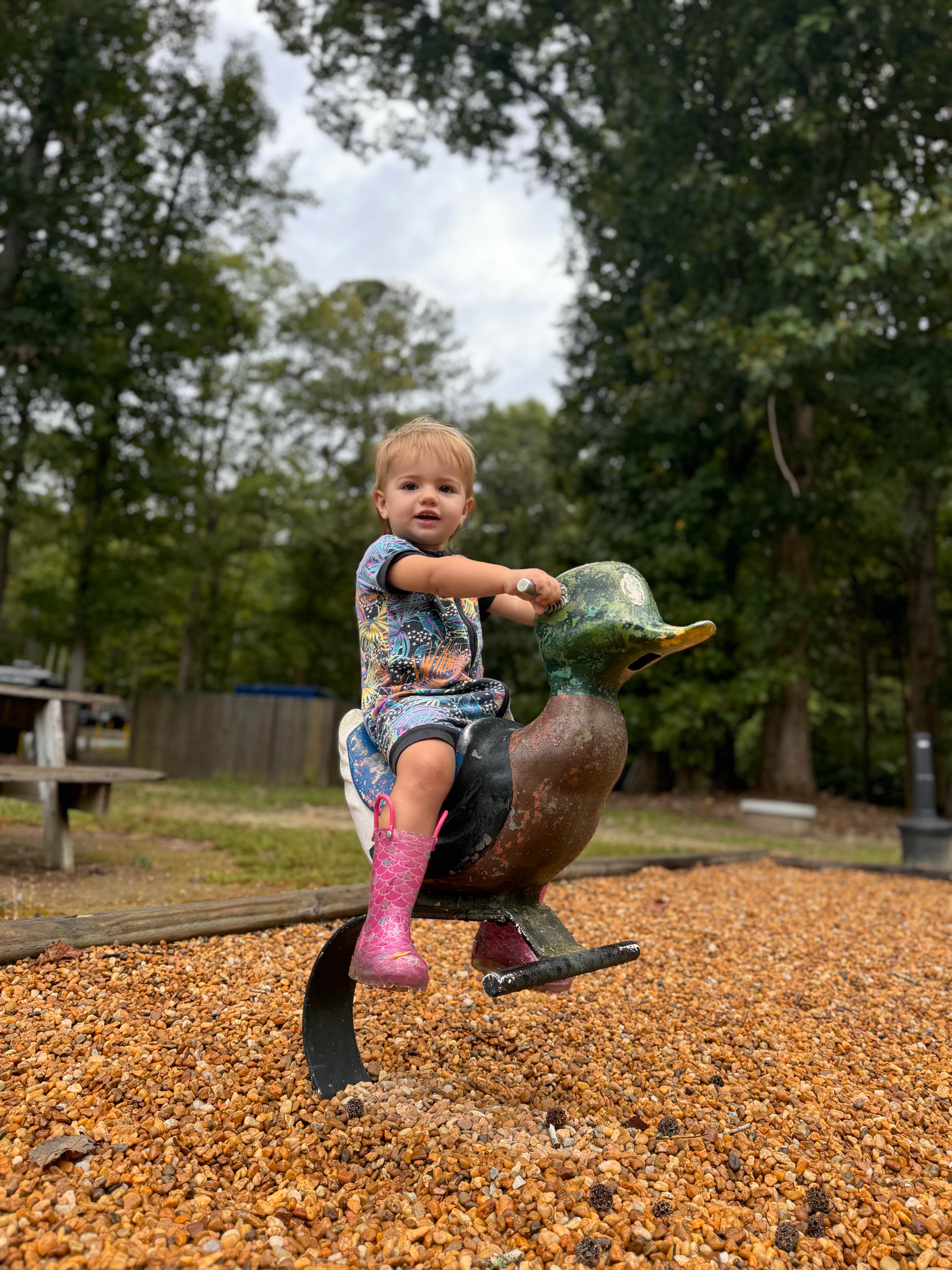 Camper-submitted photo at Emporia KOA Holiday near Weldon, NC