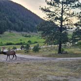 Review photo of Yogi Bear's Jellystone Park at Estes Park by Rachel G., June 7, 2025