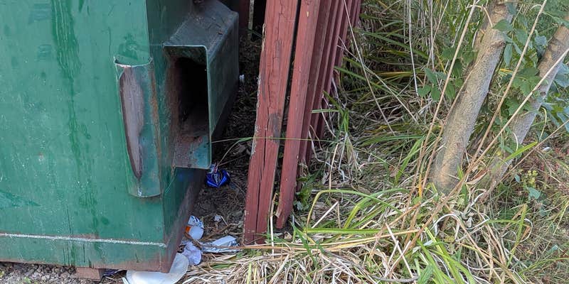 Camper submitted image from Yogi Bears Jellystone Park Camp Resort at Mexico