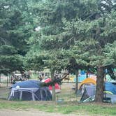 Review photo of Sioux Falls Yogi Bear by Jenny , June 7, 2025