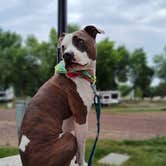 Review photo of Sioux Falls Yogi Bear by Jackie S., June 12, 2025