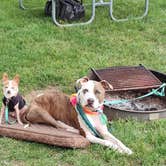 Review photo of Sioux Falls Yogi Bear by Jackie S., June 12, 2025