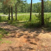 Review photo of Yogi Bear's Jellystone Park at Asheboro by Rebecca F., August 11, 2025