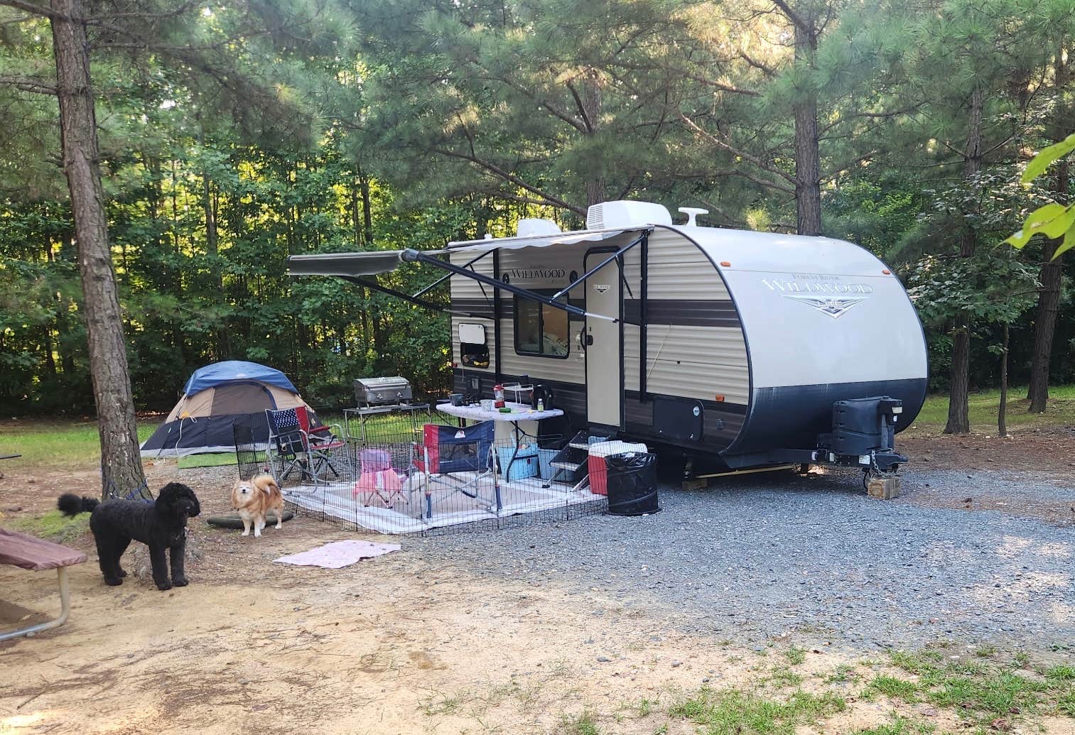 Rebecca F.'s photo of camping with pets at Yogi Bear's Jellystone Park at Asheboro near Whitsett, NC