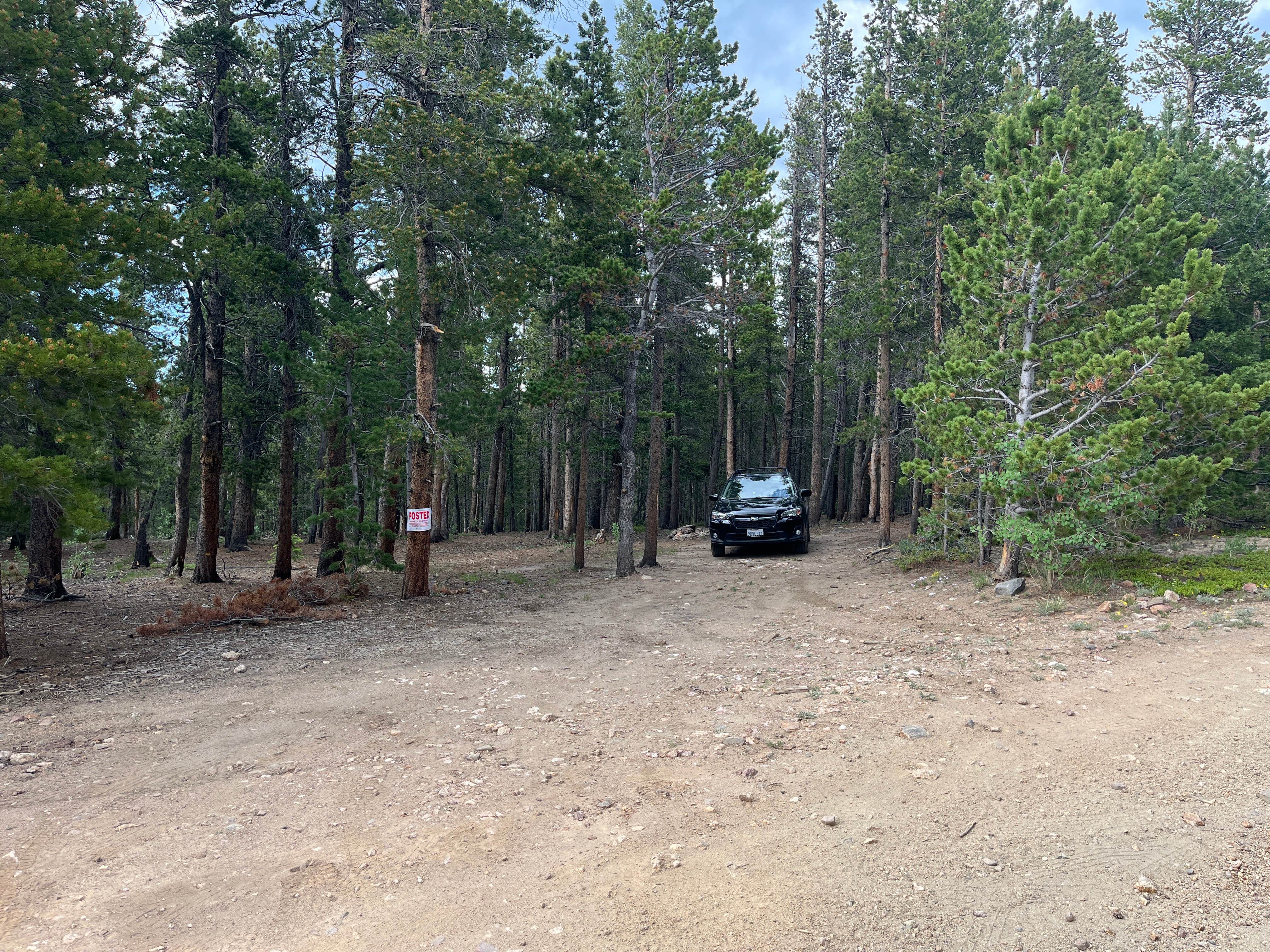 Camper submitted image from York Gulch Road - 4