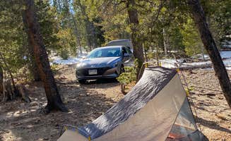 Conner's photo of a dispersed camping area at York Gulch Road near Wheat Ridge, CO