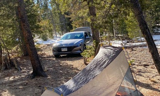 Camping near Pickle Gulch: York Gulch Road, Dumont, Colorado