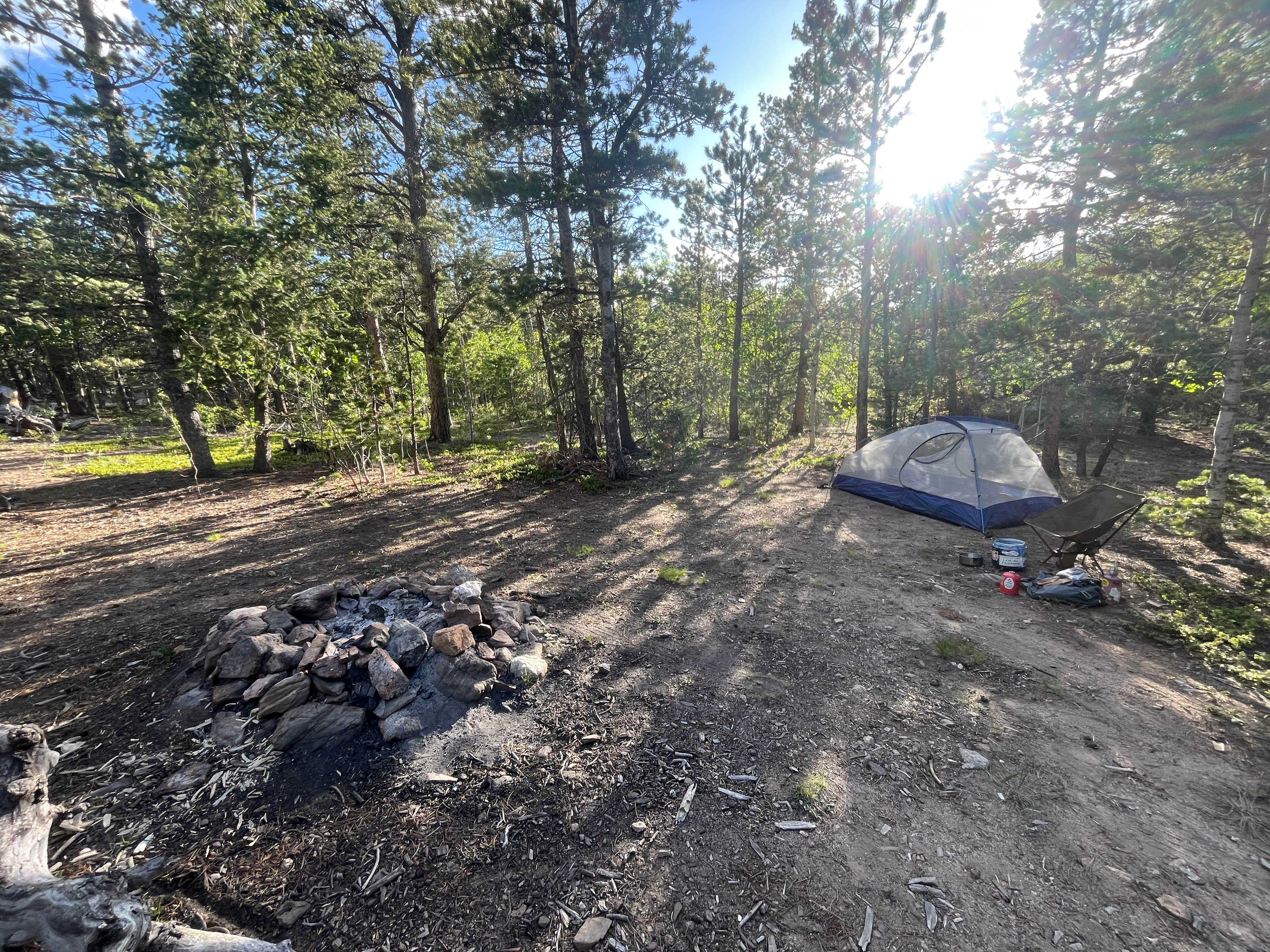 Camper-submitted photo at York Gulch Road near Idaho Springs, CO