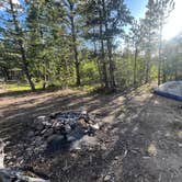 Review photo of York Gulch Road by Oscar D., June 25, 2025