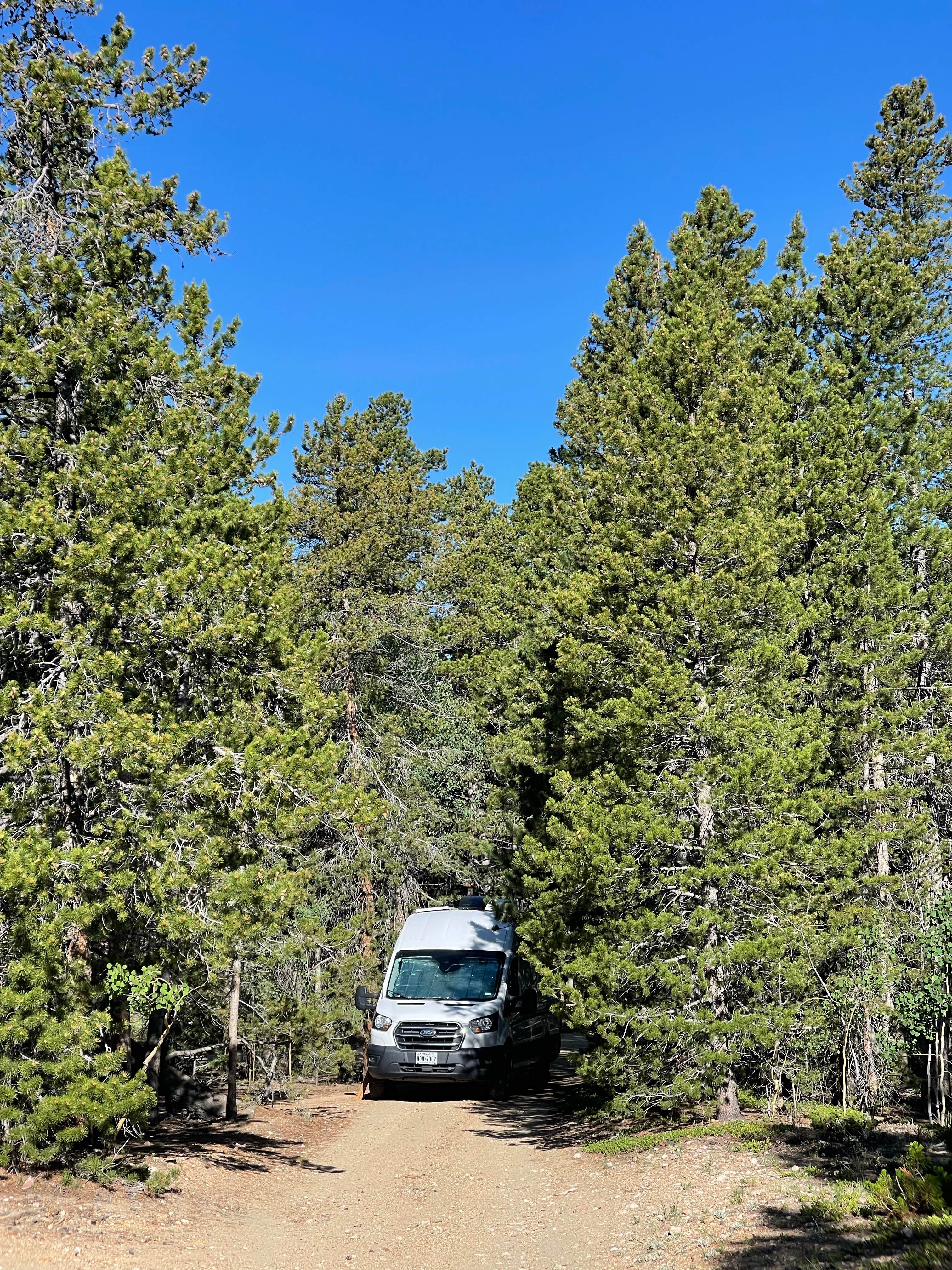 Camper-submitted photo at York Gulch Road near Idaho Springs, CO